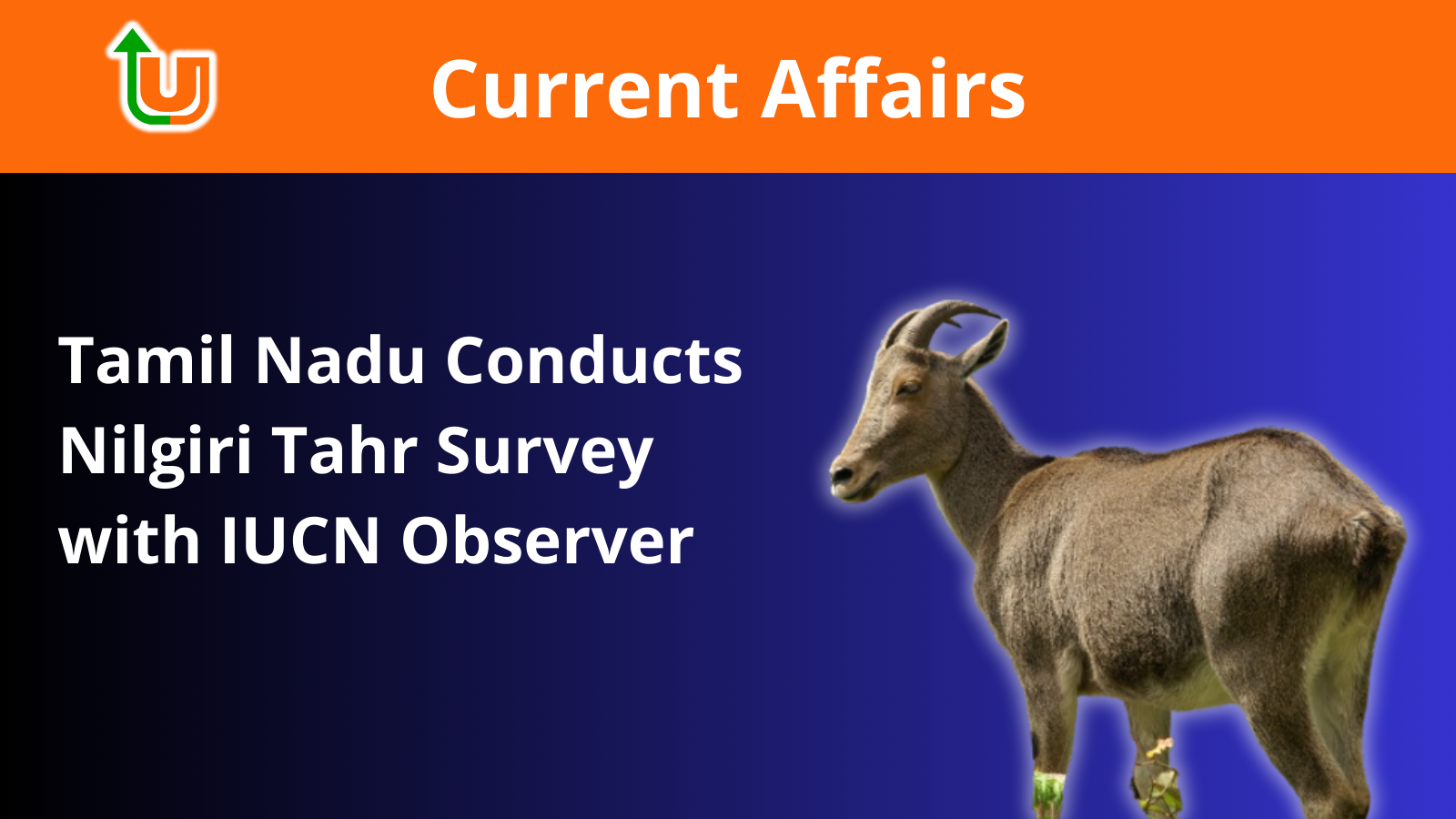 Tamil Nadu Conducts Nilgiri Tahr Survey with IUCN Observer